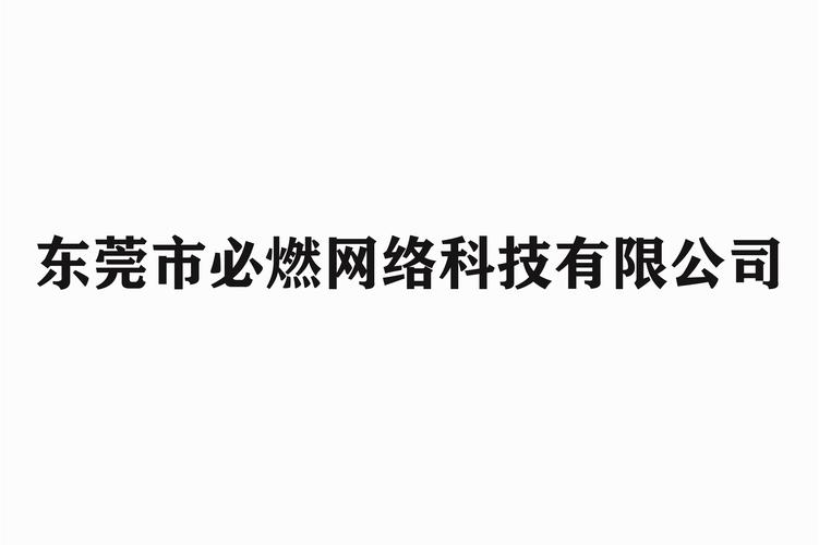 东莞市必燃网络科技 以网络技术服务点燃数字未来